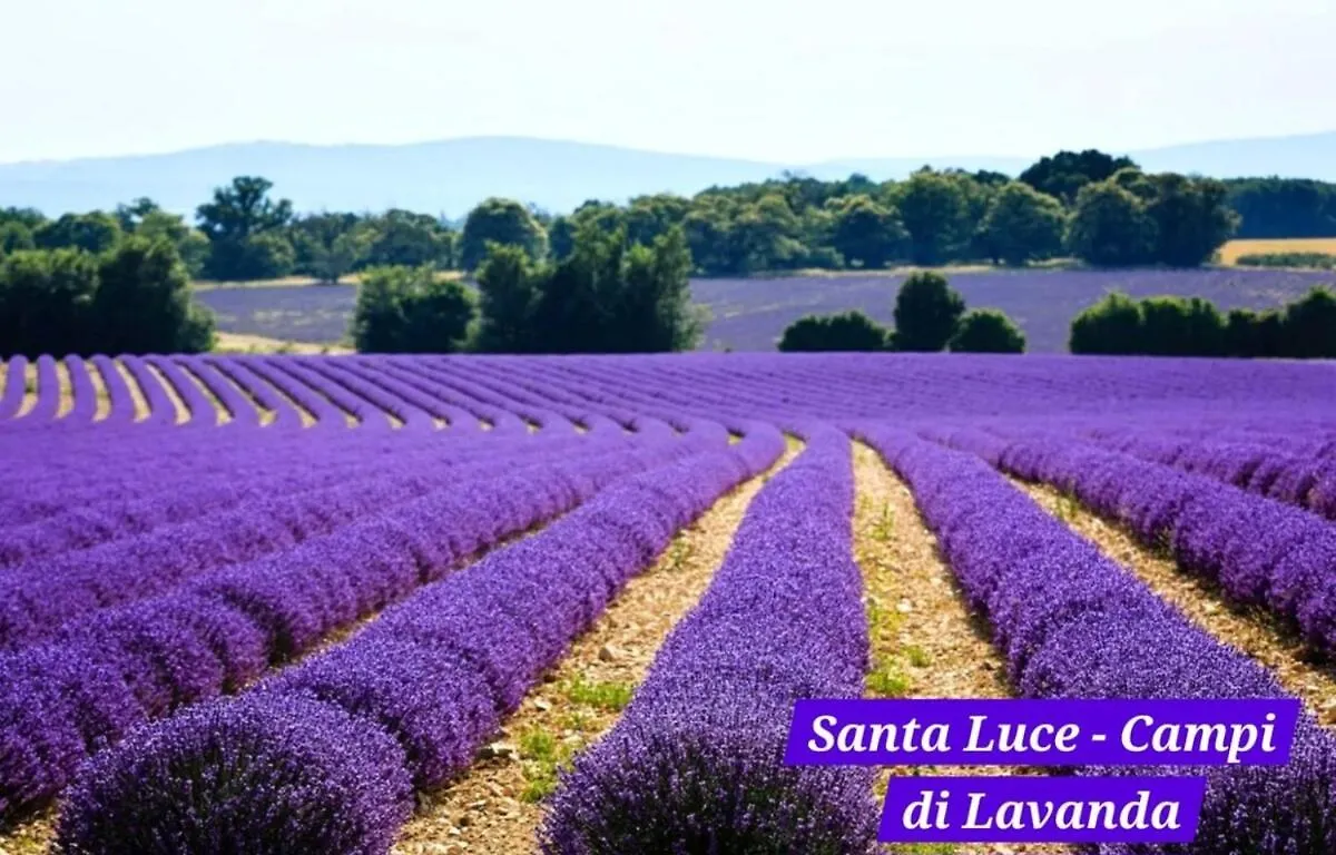 Loft Marina Azzurra Apartment Tirrenia