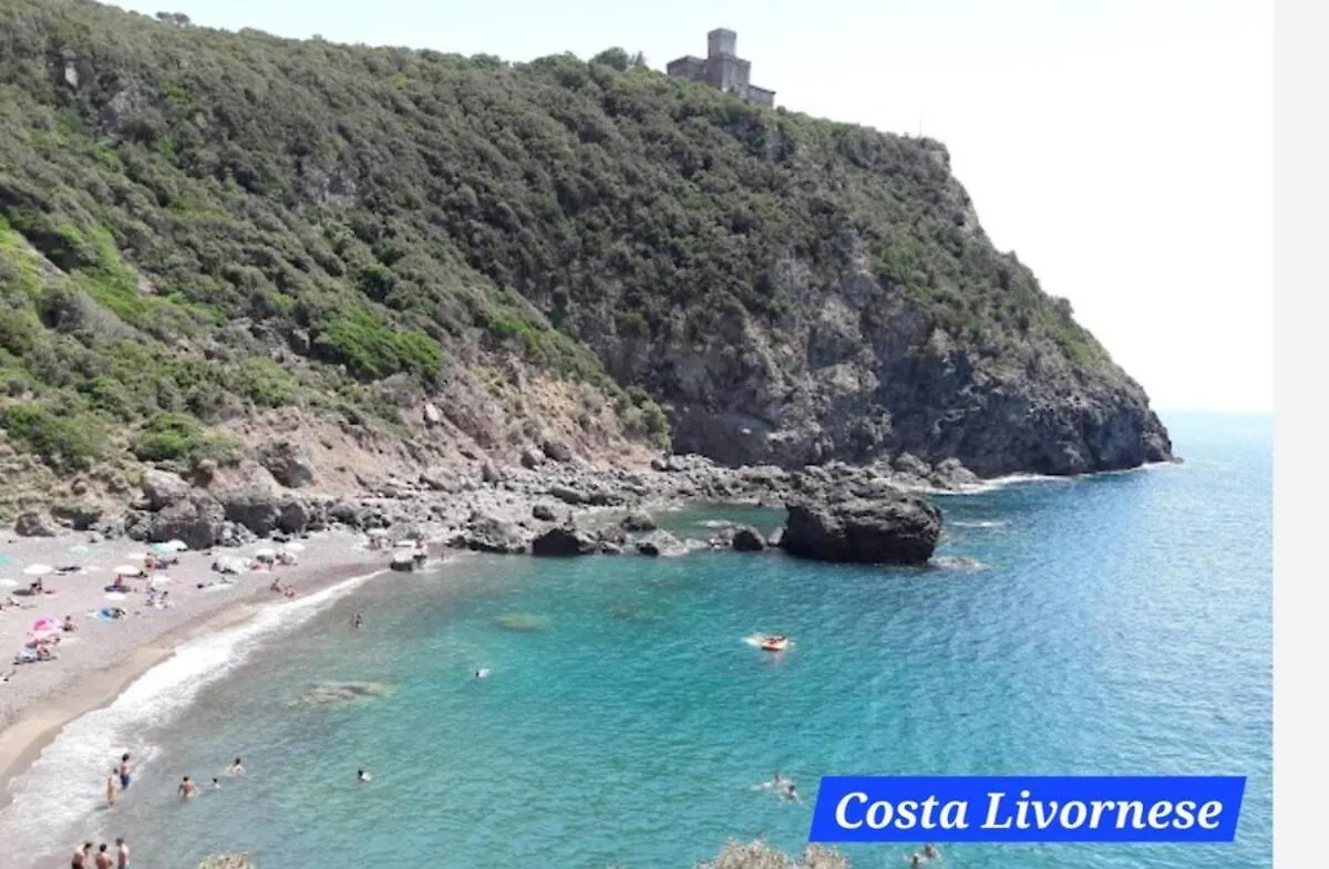 Loft Marina Azzurra Apartment Tirrenia